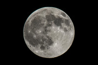 Full Moon