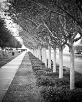 Walkway to the Museum Of Arts in New Orleans