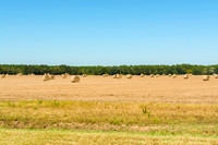 Hay rolls
