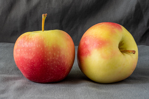 Apples