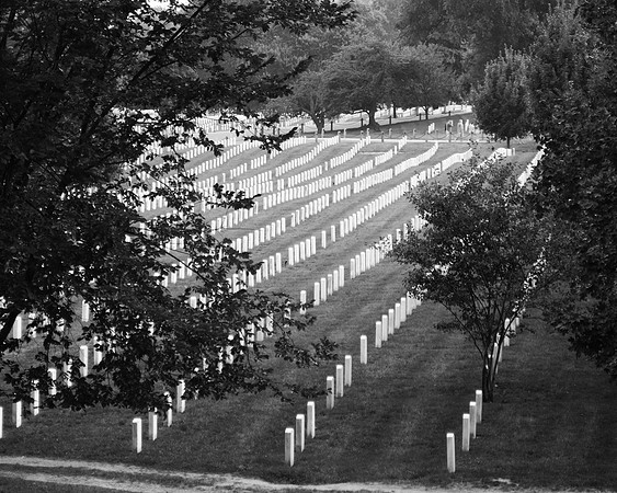 Arlington