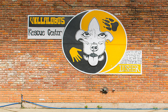 Villa Lobos Wall