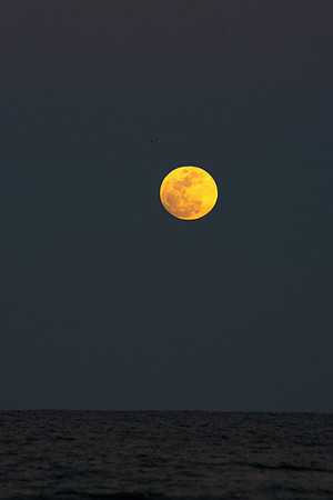 Moon Rise at Jacksonville Beach